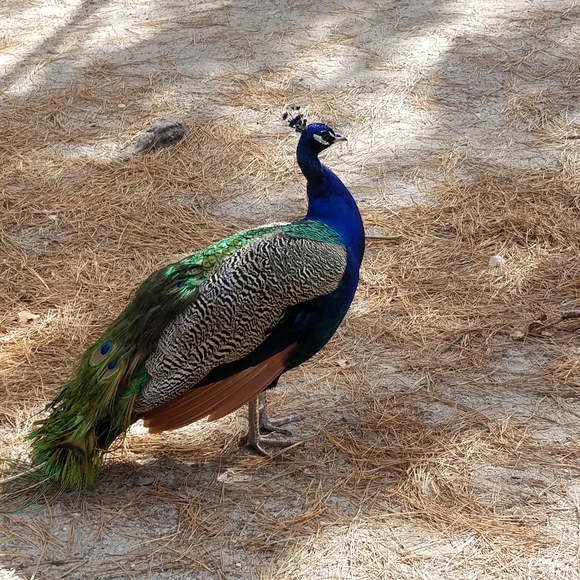 Meet your Posher, Maria - Picture 3 of 4